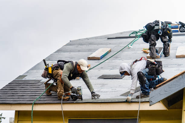 Professional Emergency Roof Repair technician working in Hollandale, MN
